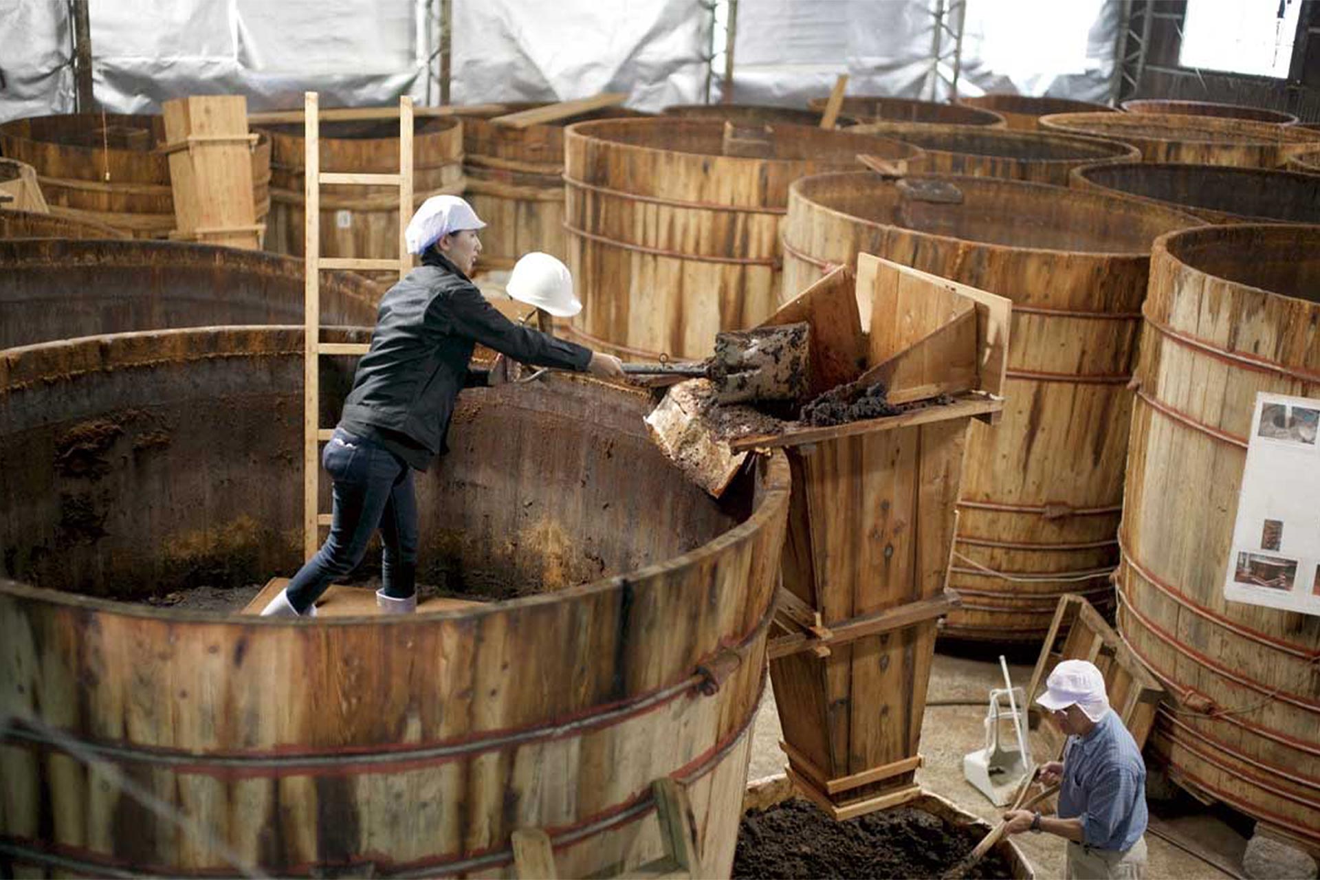 Miso Brewing
