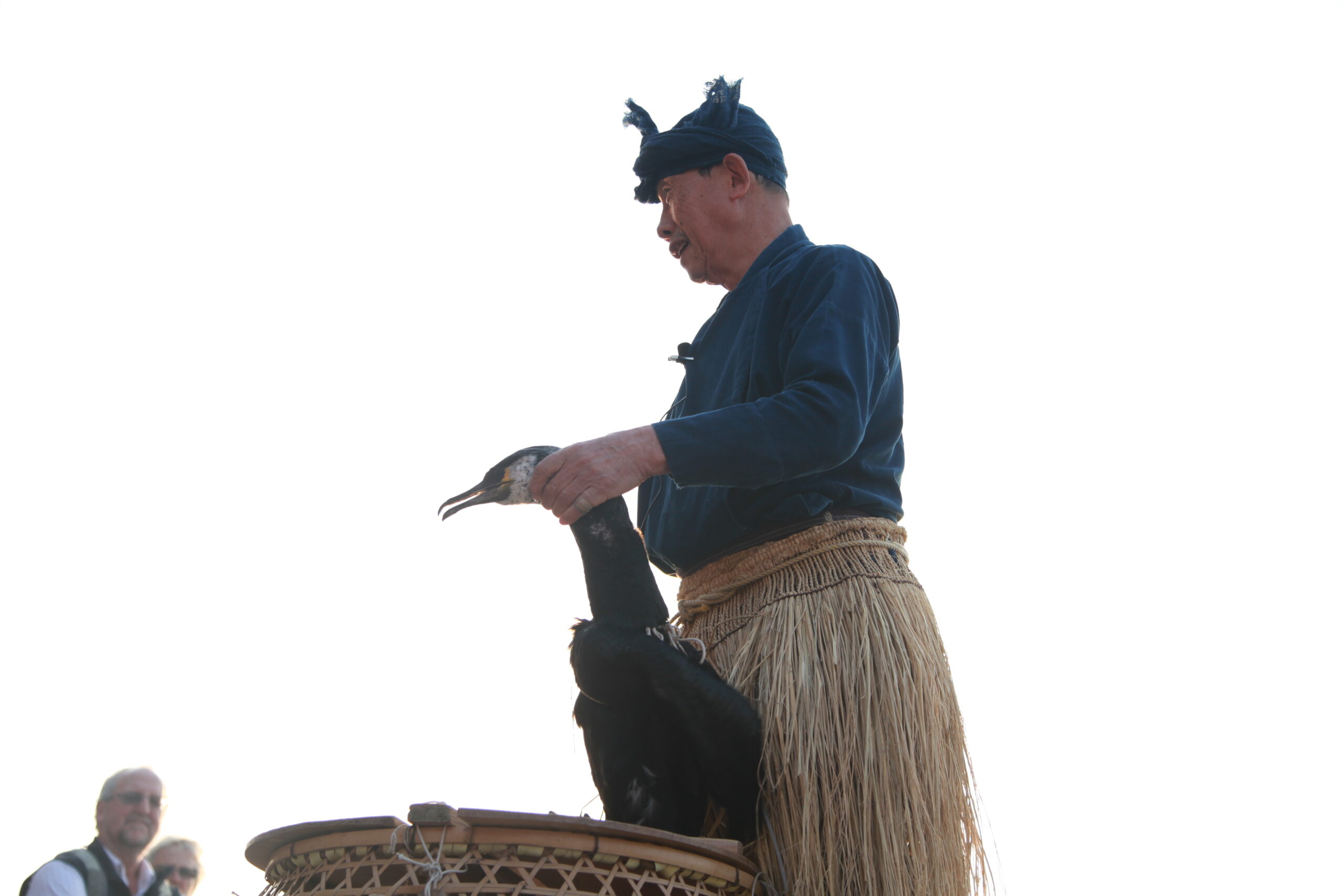 Nagara River Cormorant Fishing Cruise with English Interpreter