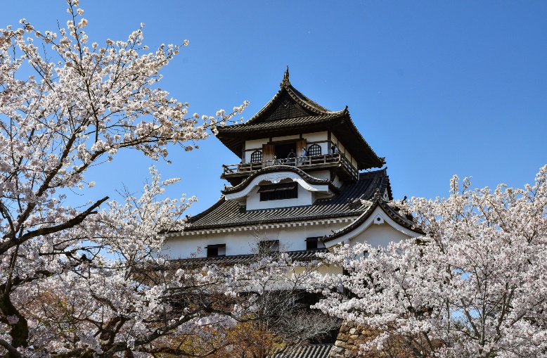 Inuyama Castle Town Tour