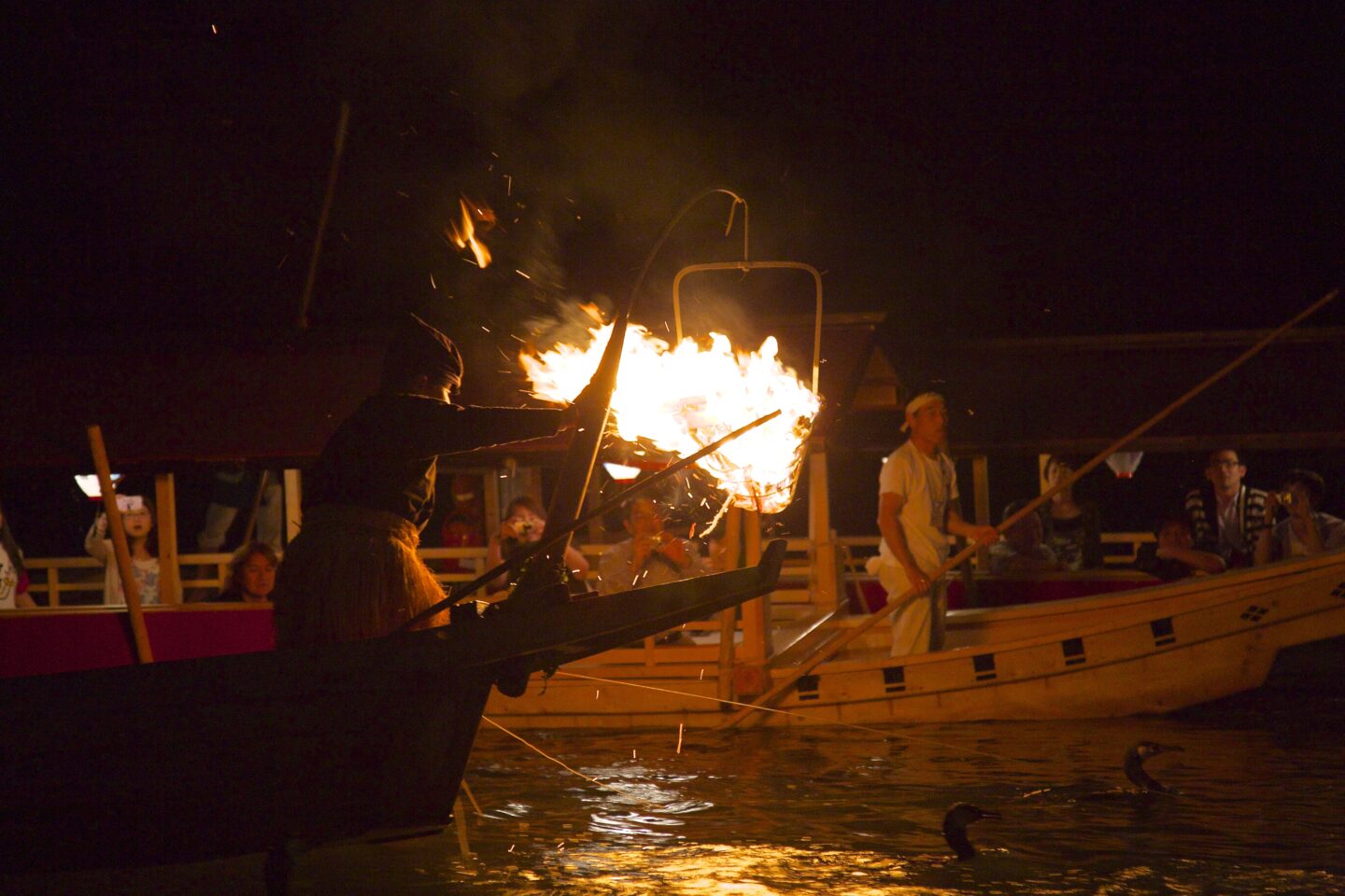 Cormorant Fishing Cruise